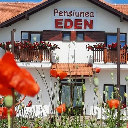 Copăceni Pensiunea Eden מראה חיצוני תמונה
