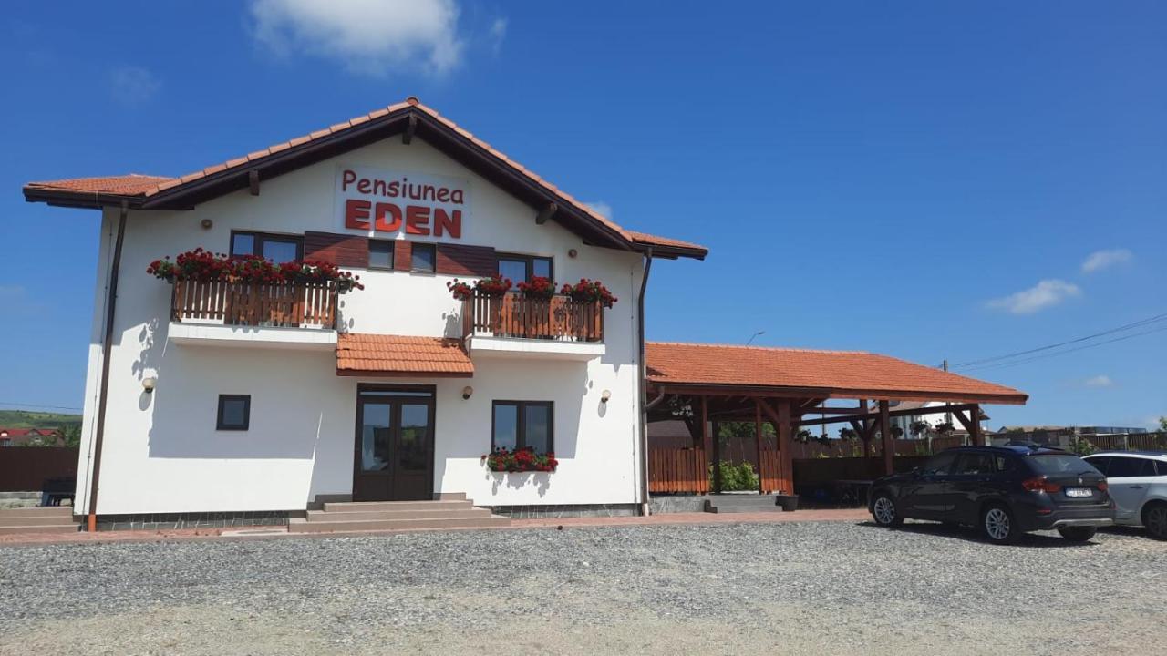 Copăceni Pensiunea Eden מראה חיצוני תמונה